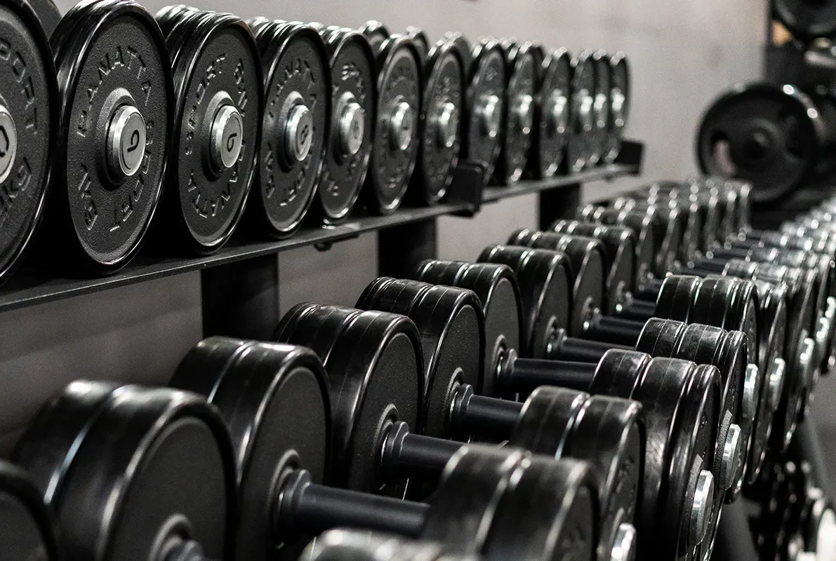 Optimisation des Performances et du Bien-être